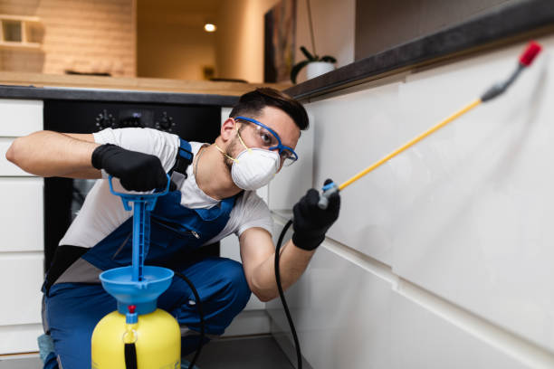 Best Local Pest Control Services  in Penbrook, PA