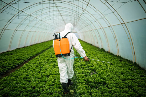 Best Ant Control Services  in Penbrook, PA