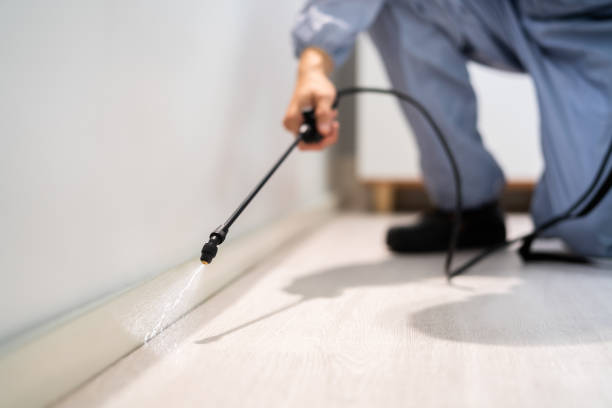 Professional Pest Control in Penbrook, PA