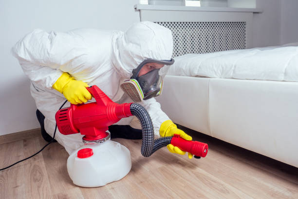 Best Termite Control Services  in Penbrook, PA