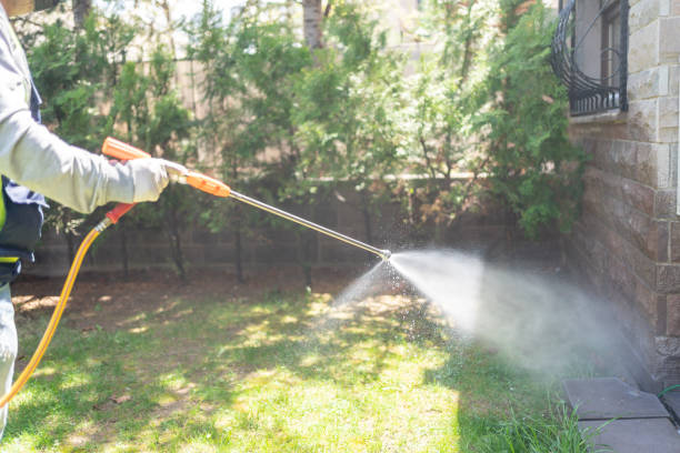 Best Best Pest Control Companies  in Penbrook, PA