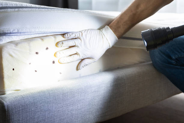 Best Mosquito Control Services  in Penbrook, PA